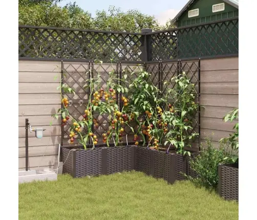 Dārza Podi 1 Gb Režģa Raksts Brūna 120 X 120 X 142 Cm Plastmasa Vidaxl