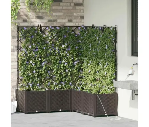 Dārza Podi 1 Gb Režģa Raksts Brūna 120 X 120 X 142 Cm Plastmasa Vidaxl