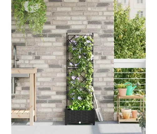 Aianduk Trellisega Must 40 X 40 X 125.5 Cm Pp