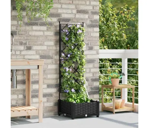 Aianduk Trellisega Must 40 X 40 X 125.5 Cm Pp