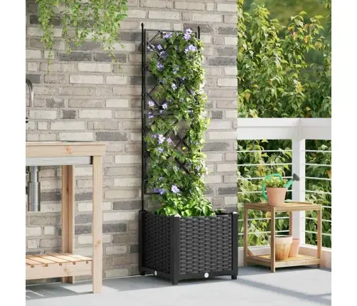 Sodas Vazonas Su Trellis Juoda 40 X 40 X 143 Cm Pp