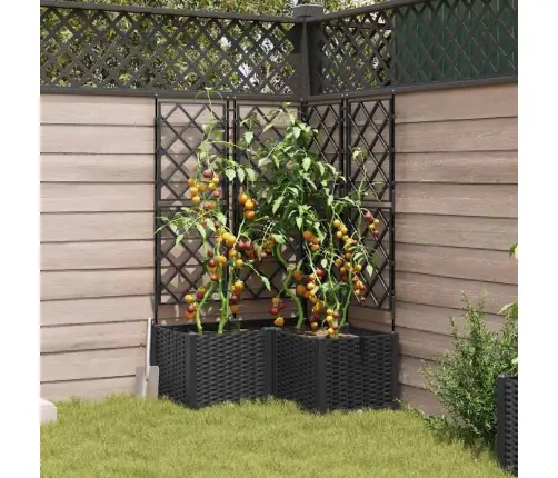 Dārza Stādītājs Ar Trellis 3 Gabali Melns 80X80X143 Cm Vidaxl