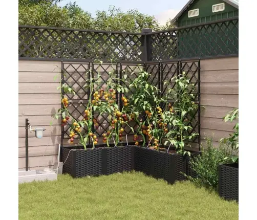 Dārza Podi 1 Gb Režģa Raksts Melna 120 X 120 X 142 Cm Plastmasa Vidaxl