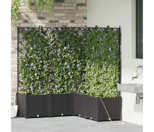 Dārza Podi 1 Gb Režģa Raksts Melna 120 X 120 X 142 Cm Plastmasa Vidaxl