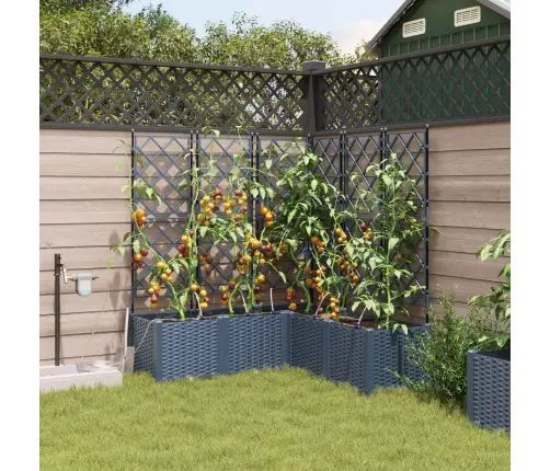 Dārza Stādītājs Ar Trellisu 2 Gab. Pelēks 80X40X125.5 Cm Vidaxl