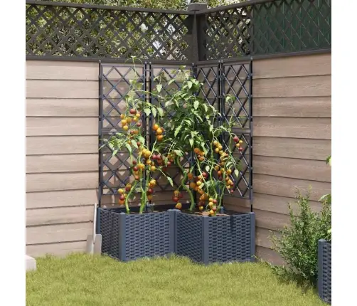 Aia Istutuspot 3 Pcs Hall 80 X 80 X 143 Cm Teras