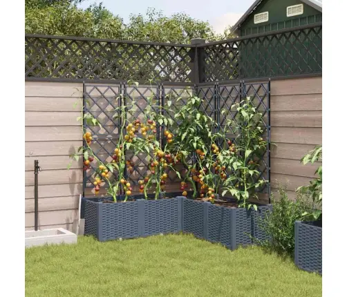 Dārza Stādītājs Ar Trellisu 5 Gabali, Gaiši Pelēks, 120X120X143 Cm Vidaxl