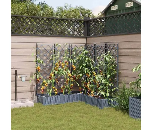 Aia Istutuspot 5 Pcs Helehall Teras