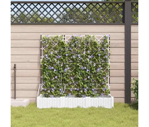 Dārza Stādītājs Ar Trelli 3 Gab Balts 120X40X125.5 Cm Vidaxl