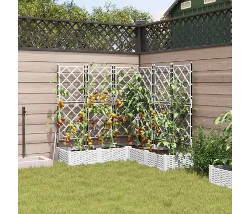 Dārza Pods Ar Trellis 5 Gab. Balts 120X120X125.5 Cm Vidaxl