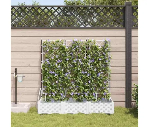 Dārza Podi 1 Gb Režģa Raksts Balts 120 X 40 X 126 Cm Plastmasa Vidaxl