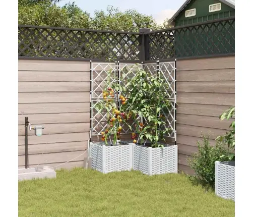 Aia Istutuspot 3 Pcs Valge Teras