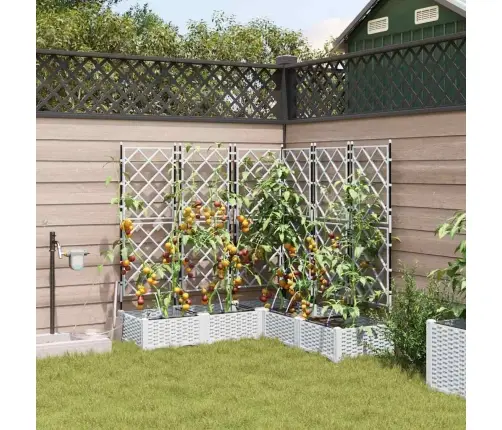 Aia Istutuspot 5 Pcs Valge Teras