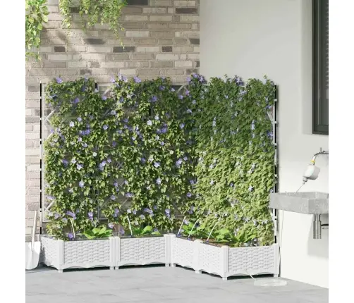 Aia Istutuspot 5 Pcs Valge Teras