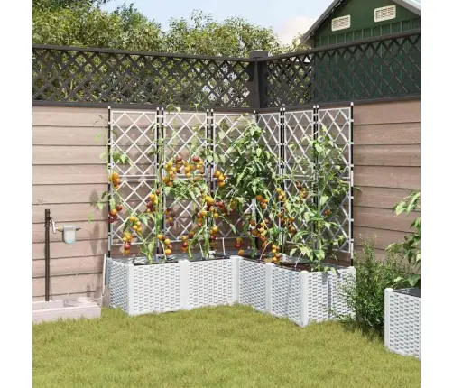 Aia Istutuspot 5 Pcs Valge Teras