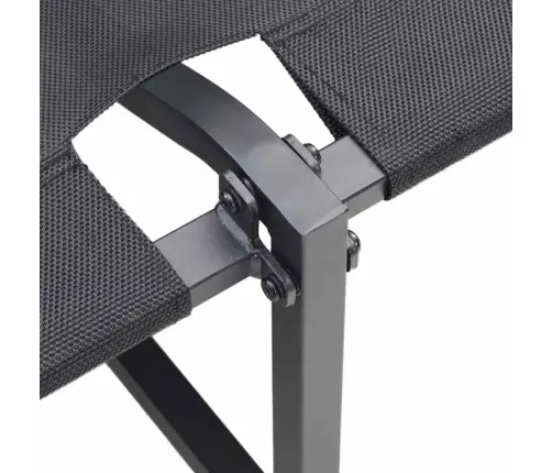 2-Vietīgs Dārza Dīvāns Ar Antracīta Spilveniem Vidaxl