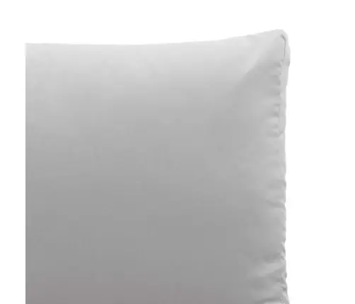 2-Sēdošais Dīvāns Ar Gaiši Pelēkiem Spilveniem Vidaxl