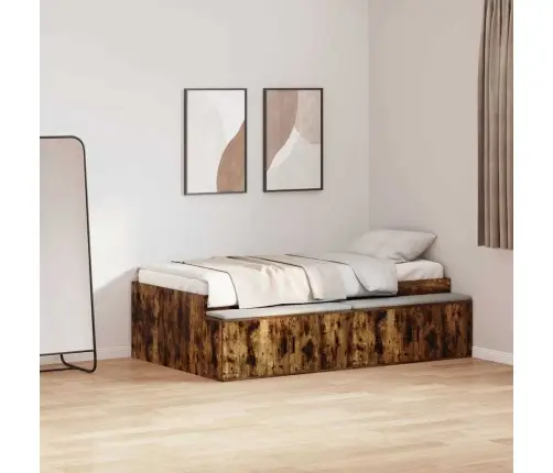 Uzglabāšanas Gultas Rāmis Dūmots Ozols 100X200 Cm Vidaxl