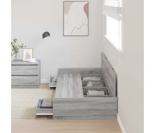 Gultas Ar Uzglabāšanas Vietu Ar Atvilktni Pelēks Sonoma 100 X 200 Cm