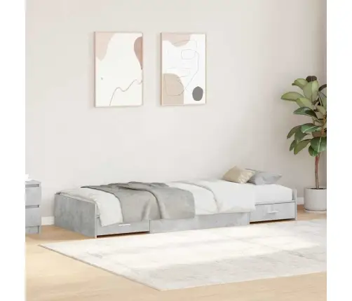 Gultas Ar Uzglabāšanas Vietu Ar Atvilktni Betona Pelēks 80 X 200 Cm