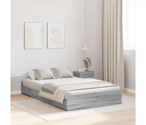 Gultas Ar Uzglabāšanas Vietu Pelēka Sonomas Ozola 120 X 200 Cm Vidaxl
