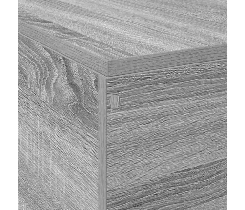 Voodi Hoiukohaga Raam Hall Sonoma 200 X 200 Cm Tehispuit