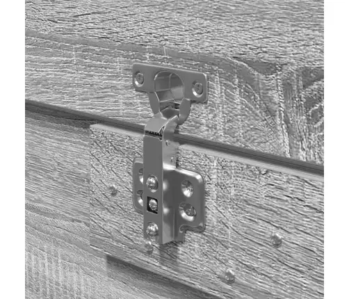 Voodi Hoiukohaga Raam Hall Sonoma 150 X 200 Cm Tehispuit