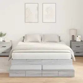Gultas Ar Uzglabāšanas Vietu Ar Atvilktni Pelēks Sonoma 150 Cm Vidaxl