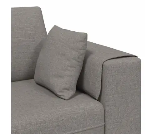 Auduma Dīvāns Ar Spilvenu Pelēkbrūna 208 Cm Audums