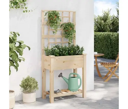 Aia Istutuspot Riiuliga Beež 71 X 38 X 152 Cm Tugev Kuusepuit