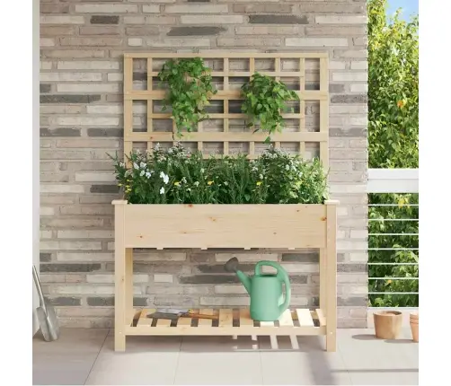 Sodo Vazonas Smėlio 115 X 60,5 X 153 Cm Kietasis Pušinis Medis