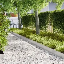 Zāliena Apmale 50 Pcs Sudraba 100 X 0.05 X 20 Cm Vidaxl