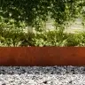 Zāliena Apmale 30 Pcs Brūna 100 X 0.05 X 20 Cm Vidaxl