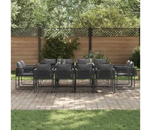 16 Daļu Dārza Ēdamgalds Ar Spilveniem Tērauda Un Polyratāna Vidaxl