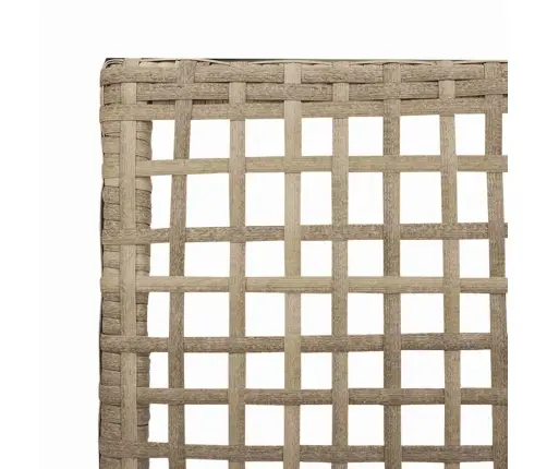 Dārza Krēsli 2 Gab. Ar Spilveniem Bēšs Poliratans Vidaxl