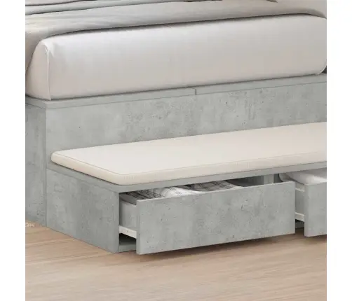 Lovos Stalčiai Su Stalčių Betono Pilka 100 X 36,5 X 16,5 Cm