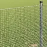 Metināts Siets 0.8X100 M Cinkots Tērauds Vidaxl