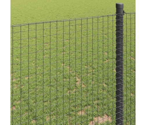 Metināts Siets, Zaļš 0.4X25 M, Tērauds Vidaxl