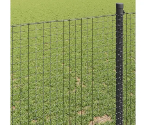 Keevitatud Traadi Aed Roheline 0.4 X 100 M Teras