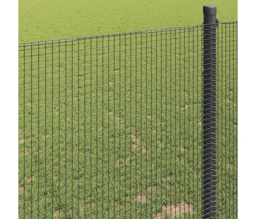 Suvirinto Vielos Tvoros Pilka 0.8 X 25 M Plienas