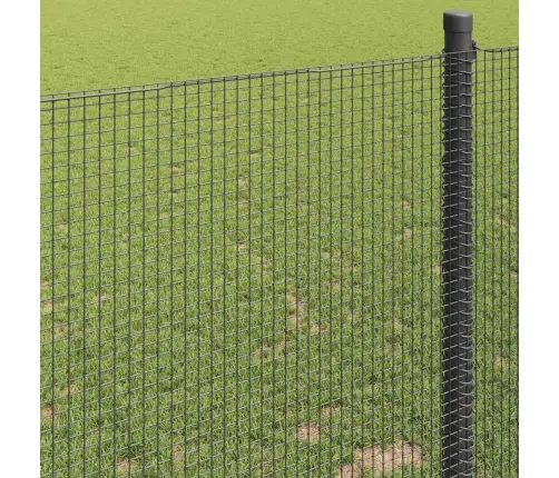 Metināta Stieple Žogs Pelēks 0.8X25 M Tērauds Vidaxl