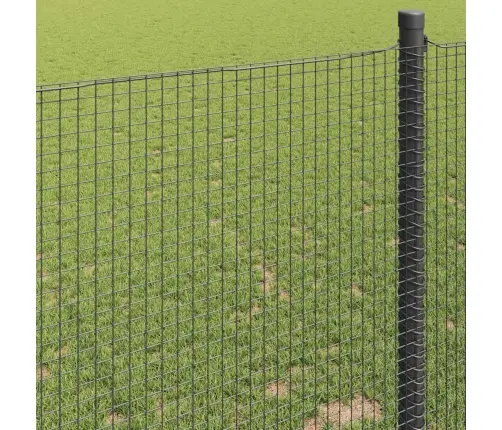 Metināts Vads Žogs, Pelēks, 1.5 X 50 M, Tērauds Vidaxl