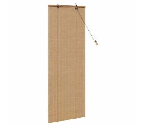 Logu Žalūzijas Un Aizsegi Gaiši Brūns 60 X 160 Cm Bambuss Vidaxl