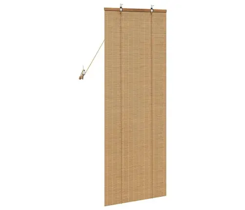 Logu Žalūzijas Un Aizsegi Gaiši Brūns 60 X 160 Cm Bambuss Vidaxl
