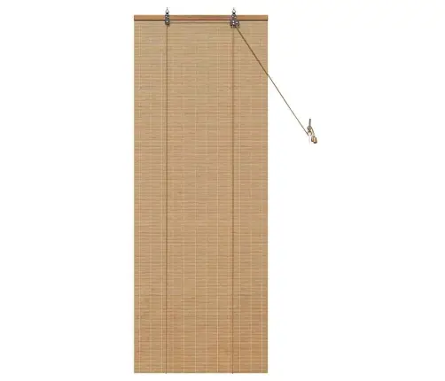 Logu Žalūzijas Un Aizsegi Gaiši Brūns 60 X 160 Cm Bambuss Vidaxl