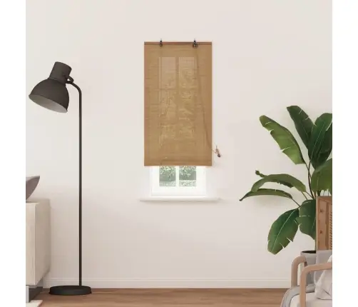 Logu Žalūzijas Un Aizsegi Gaiši Brūns 60 X 220 Cm Bambuss Vidaxl