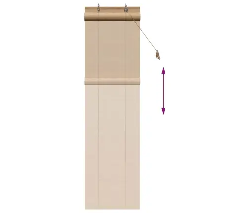 Logu Žalūzijas Un Aizsegi Gaiši Brūns 60 X 220 Cm Bambuss Vidaxl