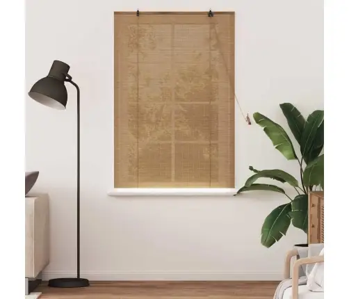 Logu Žalūzijas Un Aizsegi Gaiši Brūns 100 X 160 Cm Bambuss Vidaxl