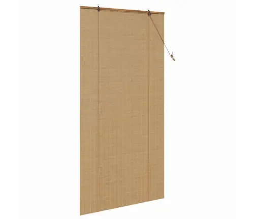 Logu Žalūzijas Un Aizsegi Gaiši Brūns 110 X 220 Cm Bambuss Vidaxl