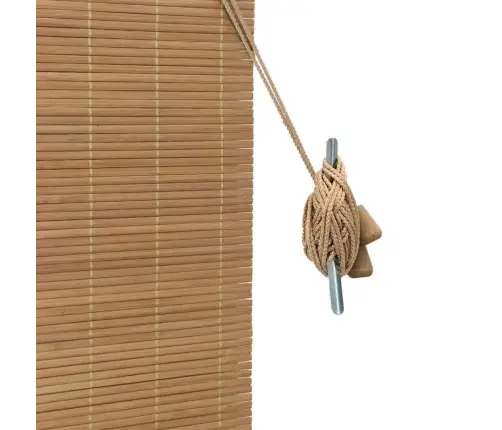 Logu Žalūzijas Un Aizsegi Gaiši Brūns 120 X 220 Cm Bambuss Vidaxl